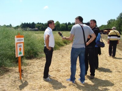 KWS Centralni dan polja pšenice, ječma, raži i uljane repice