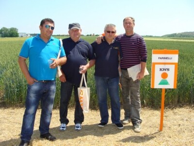 KWS Centralni dan polja pšenice, ječma, raži i uljane repice