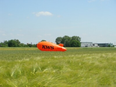 KWS Centralni dan polja pšenice, ječma, raži i uljane repice