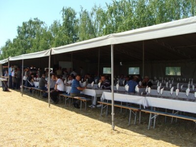 KWS Centralni dan polja pšenice, ječma, raži i uljane repice