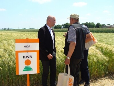 KWS Centralni dan polja pšenice, ječma, raži i uljane repice