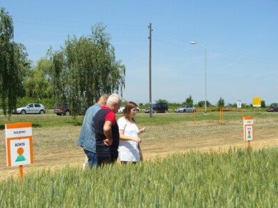 KWS Centralni dan polja pšenice, ječma, raži i uljane repice