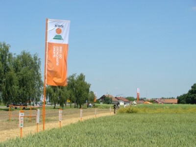 KWS Centralni dan polja pšenice, ječma, raži i uljane repice