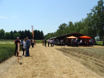 KWS Centralni dan polja pšenice, ječma, raži i uljane repice