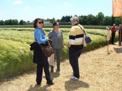 KWS Centralni dan polja pšenice, ječma, raži i uljane repice