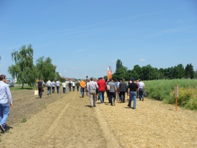 KWS Centralni dan polja pšenice, ječma, raži i uljane repice