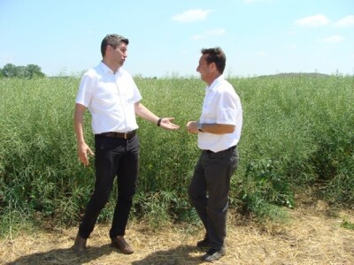 KWS Centralni dan polja pšenice, ječma, raži i uljane repice