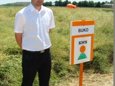 KWS Centralni dan polja pšenice, ječma, raži i uljane repice