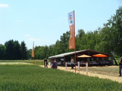 KWS Centralni dan polja pšenice, ječma, raži i uljane repice