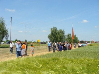 KWS Centralni dan polja pšenice, ječma, raži i uljane repice