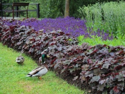 I one su došle razgledati sajam