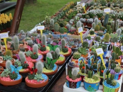 Floraart 2015.