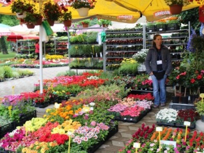 Cvjetna tržnica