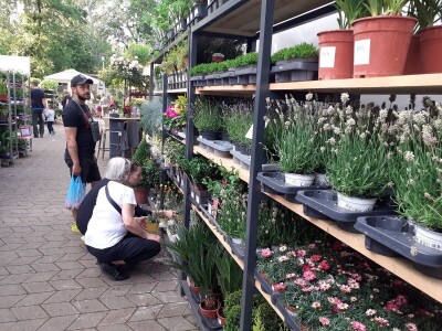 Floraart - Međunarodna izložba  cvijeća Floraart - Međunarodna izložba  cvijeća