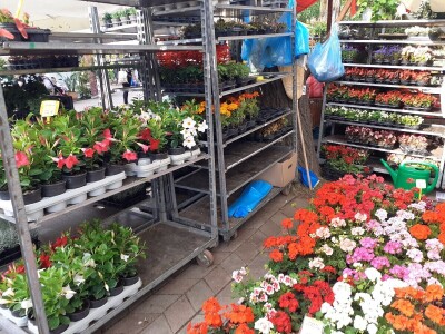 Floraart - Međunarodna izložba  cvijeća Floraart - Međunarodna izložba  cvijeća