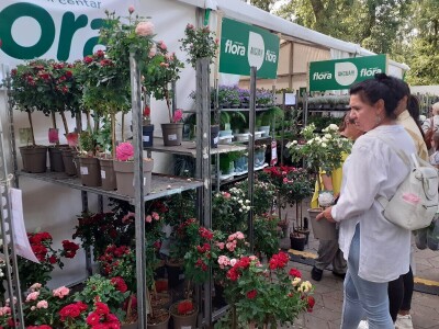 Floraart - Međunarodna izložba  cvijeća Floraart - Međunarodna izložba  cvijeća