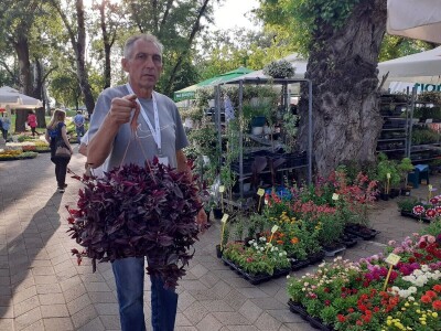 Floraart - Međunarodna izložba  cvijeća Floraart - Međunarodna izložba  cvijeća