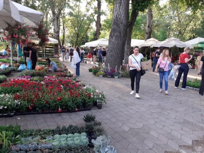 Floraart - Međunarodna izložba  cvijeća Floraart - Međunarodna izložba  cvijeća