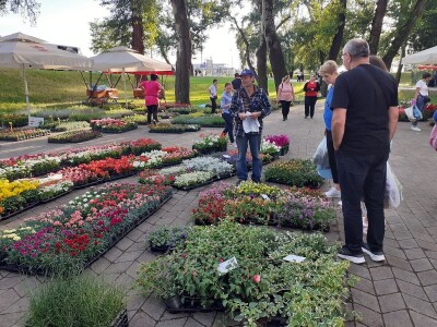 Floraart - Međunarodna izložba  cvijeća Floraart - Međunarodna izložba  cvijeća