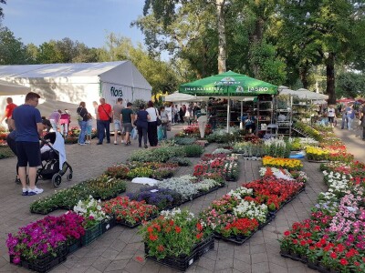 Floraart - Međunarodna izložba  cvijeća Floraart - Međunarodna izložba  cvijeća