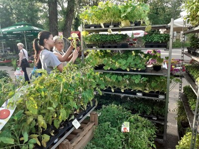 Floraart - Međunarodna izložba  cvijeća Floraart - Međunarodna izložba  cvijeća