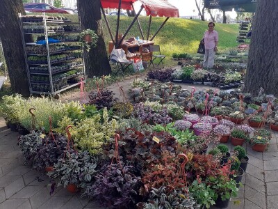 Floraart - Međunarodna izložba  cvijeća Floraart - Međunarodna izložba  cvijeća