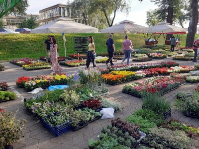 Floraart - Međunarodna izložba  cvijeća Floraart - Međunarodna izložba  cvijeća