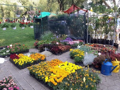 Floraart - Međunarodna izložba  cvijeća Floraart - Međunarodna izložba  cvijeća