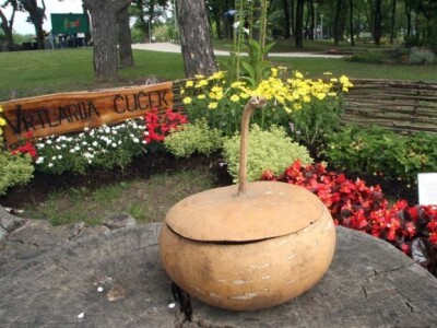 Sajam cvijeća Floraart 2014.