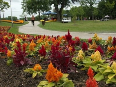 Sajam cvijeća Floraart 2014.