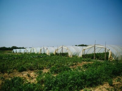 Uručena donacija Fondacije &quot;Ana i Vlade Divac &quot;