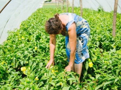 Uručena donacija Fondacije &quot;Ana i Vlade Divac &quot;