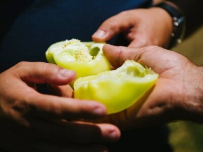 Uručena donacija Fondacije &quot;Ana i Vlade Divac &quot;