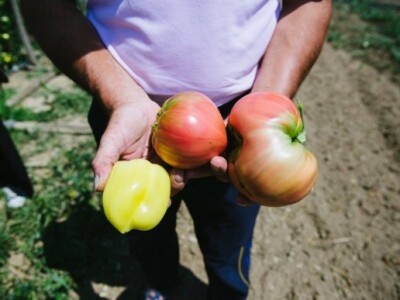 Uručena donacija Fondacije &quot;Ana i Vlade Divac &quot;