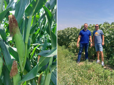 Kod mladog poljoprivrednika Ante Perića u Miljevcima Kod mladog poljoprivrednika Ante Perića u Miljevcima