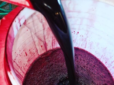 Foto: Arhiva Fruit Organica