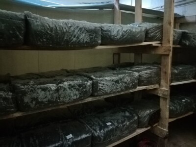 Foto: Danijela Plavšić