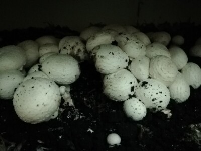 Foto: Danijela Plavšić