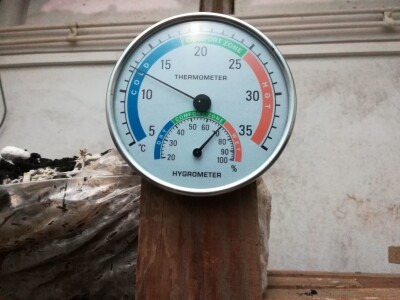 Foto: Danijela Plavšić