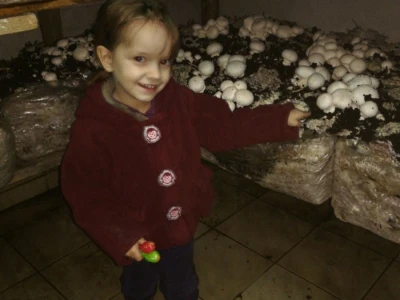 Foto: Danijela Plavšić