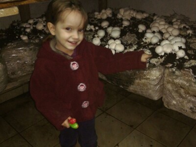 Foto: Danijela Plavšić