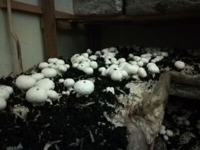 Foto: Danijela Plavšić