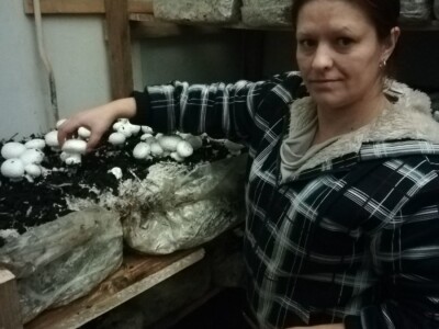 Foto: Danijela Plavšić