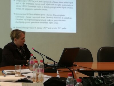 Foto: Danijela Plavšić Foto: Danijela Plavšić