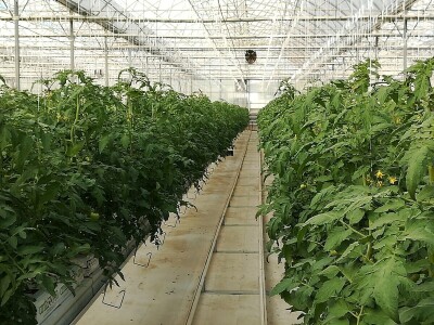 Foto: Danijela Plavšić