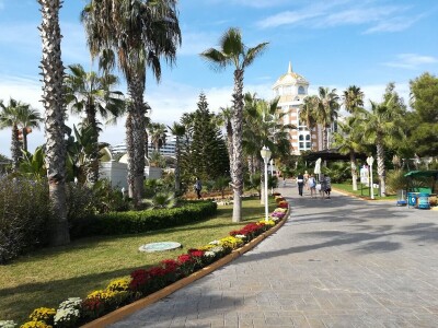 Foto: Danijela Plavšić