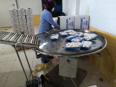 Foto: Danijela Plavšić