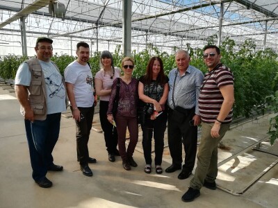 Foto: Danijela Plavšić