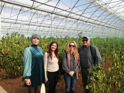 Foto: Danijela Plavšić