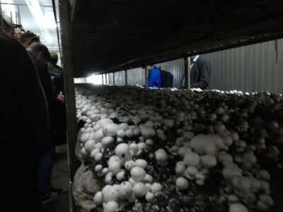 Foto: Danijela Plavšić